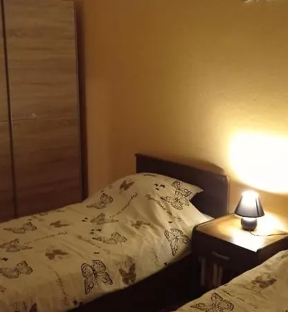 D & P Korčula