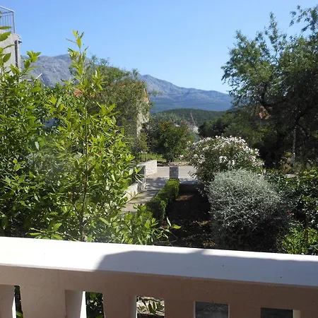 D & P Korčula
