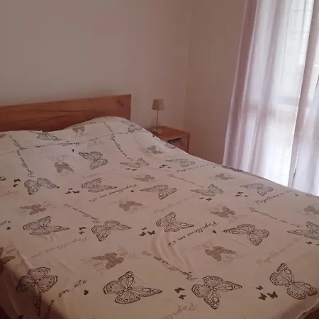 D & P Korčula